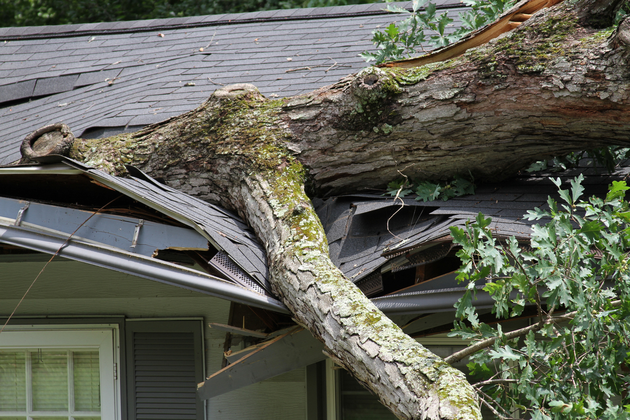 Storm Damage Restoration — Storm Damage Roof Replacement completed by AIM Roofing in Rowlett, TX